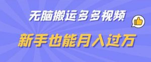 无脑搬运多多视频,新手也能月入过万【揭秘】-升阶有道