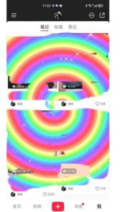 冷门高利润项目,小红书带货,无脑搬运,一部手机实现日入500+【揭秘】-升阶有道