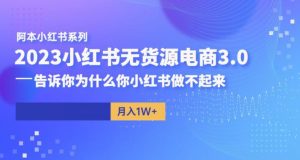 阿本小红书无货源电商3.0,告诉你为什么你小红书做不起来-升阶有道