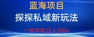 蓝海项目,探探私域新玩法,一部手机日入500+很轻松【揭秘】-升阶有道