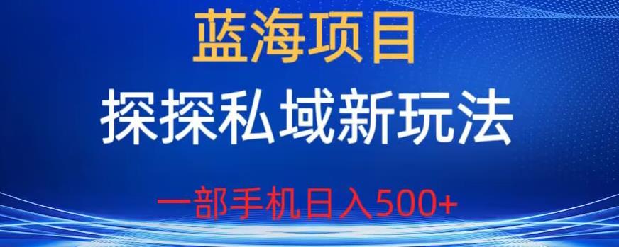 蓝海项目，探探私域新玩法，一部手机日入500+很轻松【揭秘】-升阶有道