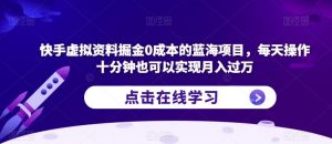 快手虚拟资料掘金0成本的蓝海项目,每天操作十分钟也可以实现月入过万【揭秘】-升阶有道
