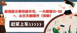 极速版无费用薅羊毛,一天躺赚10-50+,小白无脑操作【拆解】-升阶有道