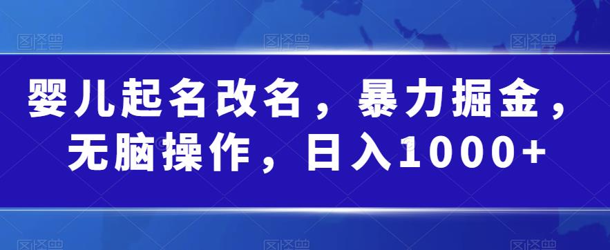 婴儿起名改名，暴力掘金，无脑操作，日入1000+【揭秘】-升阶有道