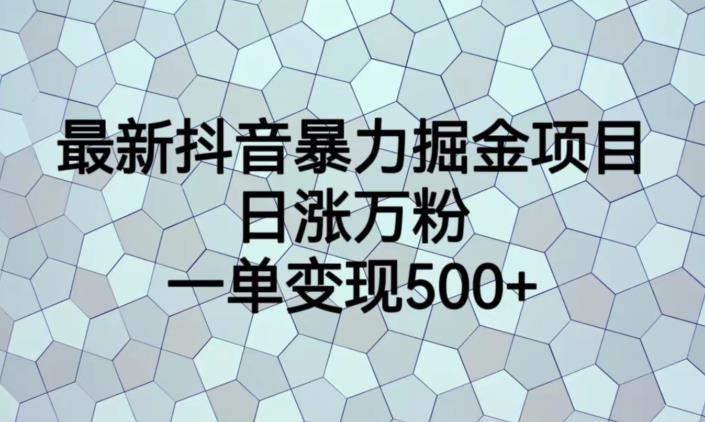 最新抖音暴力掘金项目，日涨万粉，一单变现500+【揭秘】-升阶有道