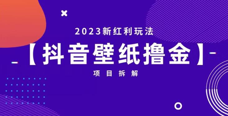 抖音壁纸小程序创作者撸金项目，2023新红利玩法【项目拆解】-升阶有道
