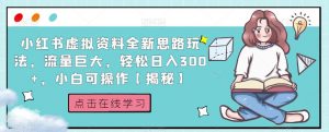 小红书虚拟资料全新思路玩法,流量巨大,轻松日入300+,小白可操作【揭秘】-升阶有道