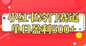 小红书冷门赛道，单日盈利500+【揭秘】-升阶有道