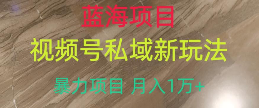 蓝海项目，视频号私域新玩法，暴力项目月入1万+【揭秘】-升阶有道