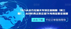 TikTok全方位通关专项企业陪跑【第三期】,从0到1真正的企业TK电商运营全流程-升阶有道
