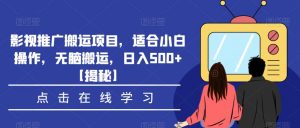 影视推广搬运项目，适合小白操作，无脑搬运，日入500+【揭秘】-升阶有道