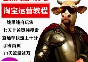 猫老师·淘系算法逆向解密,纯黑纯白玩法,七天上首页纯搜索,手淘首页14天流量过万-升阶有道