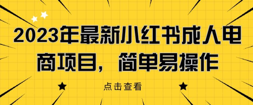 2023年最新小红书成人电商项目，简单易操作【详细教程】【揭秘】-升阶有道