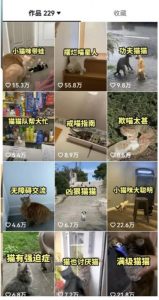 拆解:抖音盘点类中视频变现副业项目,视频版一条龙大解析分享给你-升阶有道