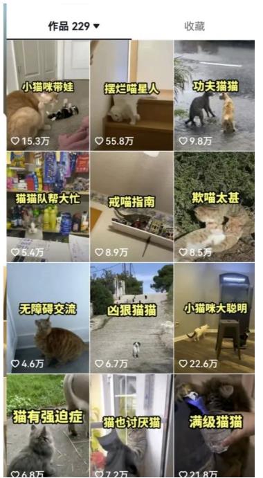 拆解抖音盘点类中视频变现副业项目，视频版一条龙大解析分享给你【视频课程】-升阶有道