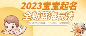 2023宝宝起名全新蓝海玩法，冷门暴力小白实操，日入1000+（全套教程）【揭秘】-升阶有道