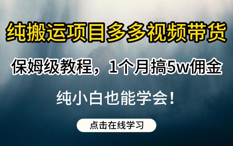 纯搬运项目多多视频带货保姆级教程，1个月搞5w佣金，纯小白也能学会【揭秘】-升阶有道
