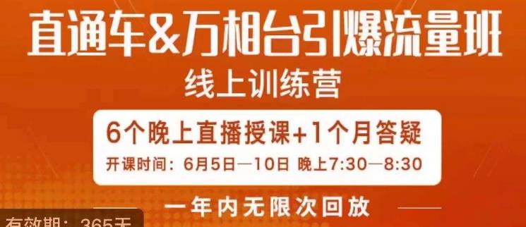 直通车&万相台引爆流量班，6天打通你开直通车·万相台的任督二脉-升阶有道