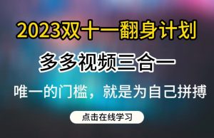 2023双十一翻身计划,多多视频带货三合一玩法教程【揭秘】-升阶有道