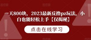 一天800块，2023最新反撸pz玩法，小白也能轻松上手【仅揭秘】-升阶有道