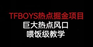 TFBOYS热点掘金项目，巨大热点风口，喂饭级教学-升阶有道