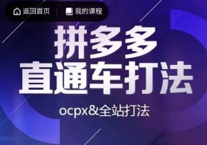 互力·拼多多直通车打法，ocpx&全站打法-升阶有道
