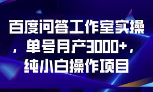 百度问答工作室实操,单号月产3000+,纯小白操作项目【揭秘】-升阶有道