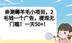 亲测薅羊毛小项目,2毛钱一个广告,提现无门槛!一天50+【揭秘】-升阶有道