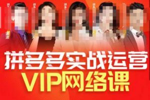 推易拼多多VIP全套直播课程,拼多多店铺实操玩法+实战玩法选款内功+直通车高阶等-升阶有道