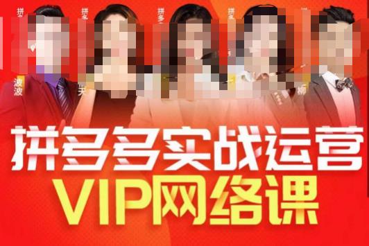 推易拼多多VIP全套直播课程，拼多多店铺实操玩法+实战玩法选款内功+直通车高阶等-升阶有道