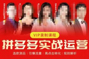 2023推易拼多多实战运营,选款测品、引爆流量、高点击转化、规则解析-升阶有道