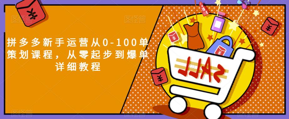 拼多多新手运营从0-100单策划课程，从零起步到爆单详细教程-升阶有道