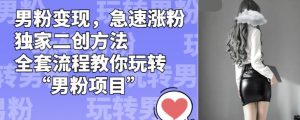 男粉变现,急速涨粉独家二创方法,全套流程教你玩转“男粉项目”【揭秘】-升阶有道