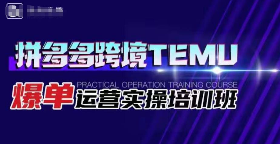 拼多多跨境TEMU爆单运营实操培训班，海外拼多多的选品、运营、爆单-升阶有道