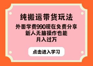 纯搬运带货玩法,外面学费990现在免费分享,新人无脑操作也能月入过万【揭秘】-升阶有道