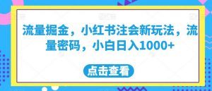 流量掘金，小红书注会新玩法，流量密码，小白日入1000+【揭秘】-升阶有道