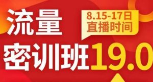 秋秋线上流量密训班19.0,打通流量关卡,线上也能实战流量破局-升阶有道
