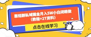 靠短剧私域掘金月入5W小白闭眼做(教程+2T资料)-升阶有道