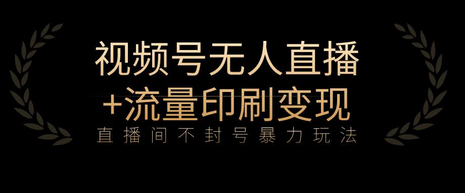 全网首发视频号不封号无人直播暴利玩法+流量印刷机变现，日入1000+【揭秘】-升阶有道