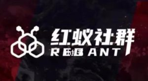 社群运营：红蚁社群【48节落地系统课程+2000人高端社群】-升阶有道