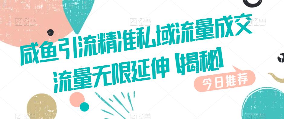 咸鱼引流精准私域流量成交流量无限延伸【揭秘】-升阶有道