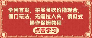 全网首发,拼多多砍价撸现金,偏门玩法,无需拉人头,傻瓜式操作保姆教程【揭秘】-升阶有道