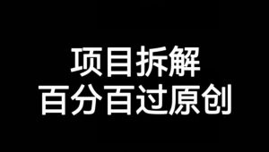 项目拆解赛道百分百过原创【揭秘】-升阶有道