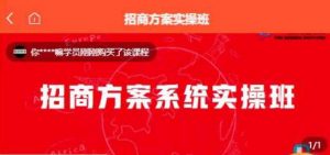 【一度招商】招商方案系统实操班 价值1980元-升阶有道