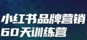 小红书品牌60天训练营第6期,GMV2亿级品牌老板都在学,教会你内容营销底层逻辑-升阶有道