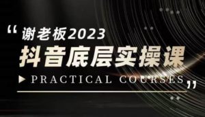 蟹老板·2023抖音底层实操课,打造短视频的底层认知-升阶有道