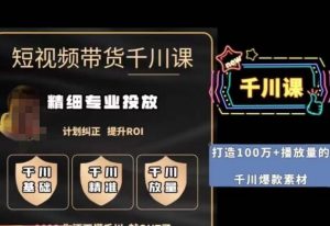 短视频带货-千川专业投放课，​精细化专业投放，计划纠正，提升ROI-升阶有道