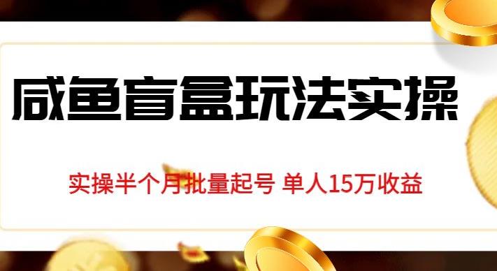 独家首发咸鱼盲盒玩法实操，半个月批量起号单人15万收益【揭秘】-升阶有道