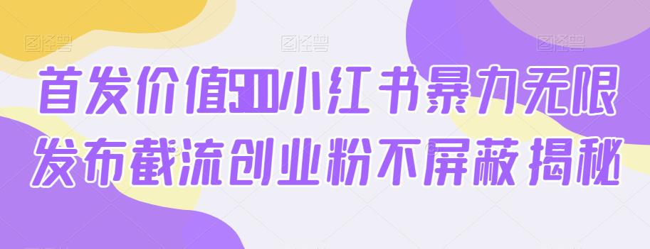 首发价值5100小红书暴力无限发布截流创业粉不屏蔽揭秘-升阶有道