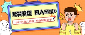 小红书育儿资料，一部手机可操作，多种变现方式，日入500+，私域变现，长期可持续项目【揭秘】-升阶有道